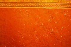 Wall Coating by Stucco Siam (gesso 12 & sp 13 powdered & embossed)